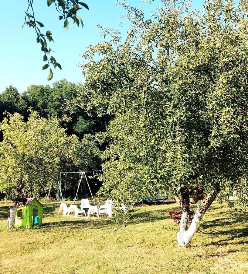 Holiday home Kuca Za Odmor Kod Celica Barbarici Kravarski